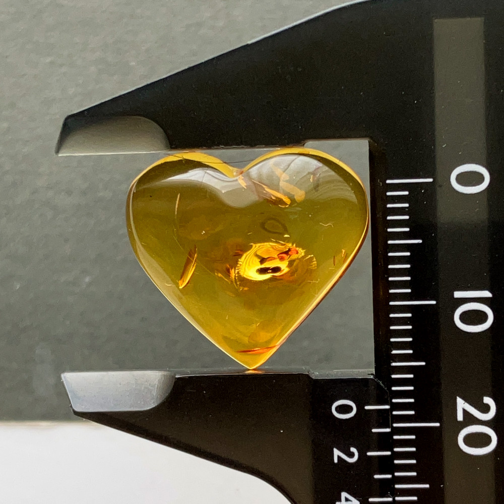 バルティックアンバー[204] 19x26mm 7Cts