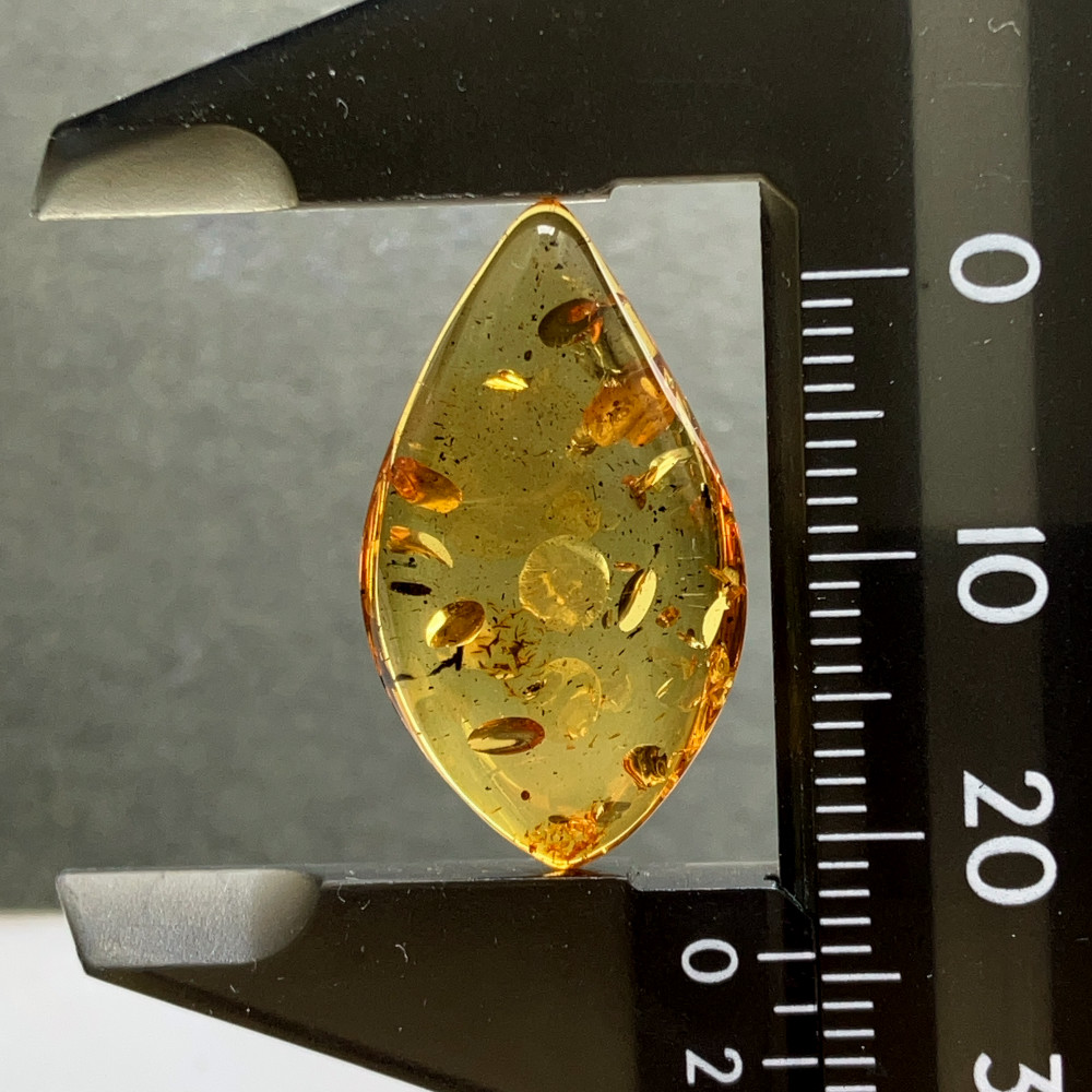 バルティックアンバー[206] 24x14mm 5Cts