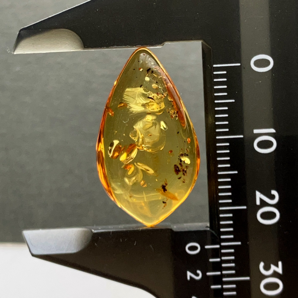 バルティックアンバー[208] 25x15mm 6Cts