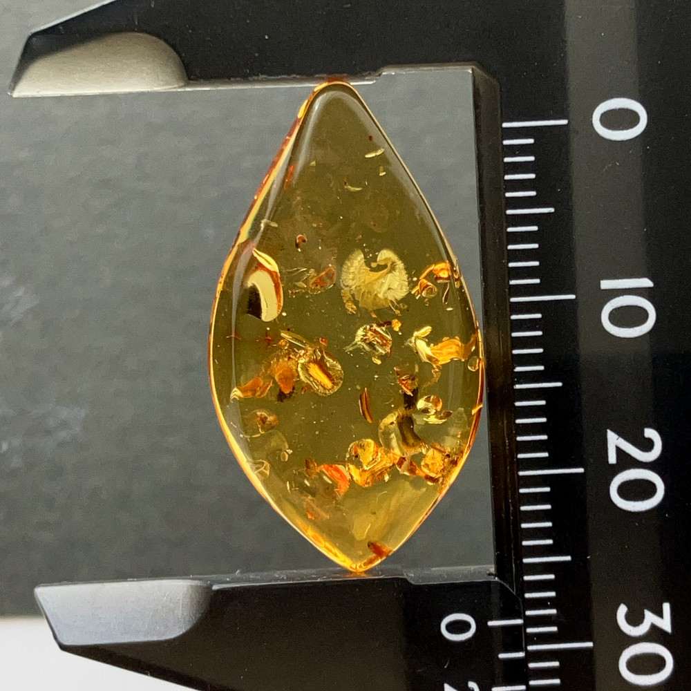 バルティックアンバー[210] 28x16mm 8Cts