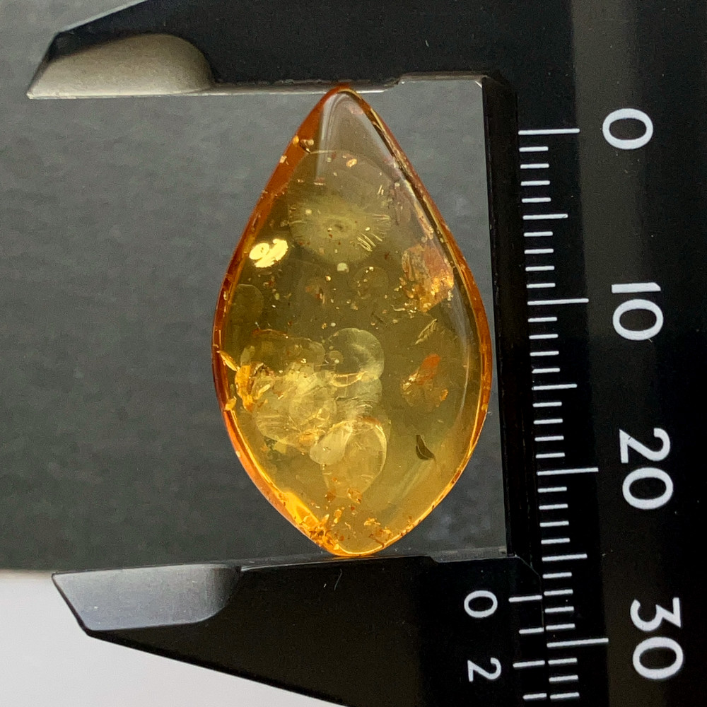 バルティックアンバー[212] 27x16mm 8Cts