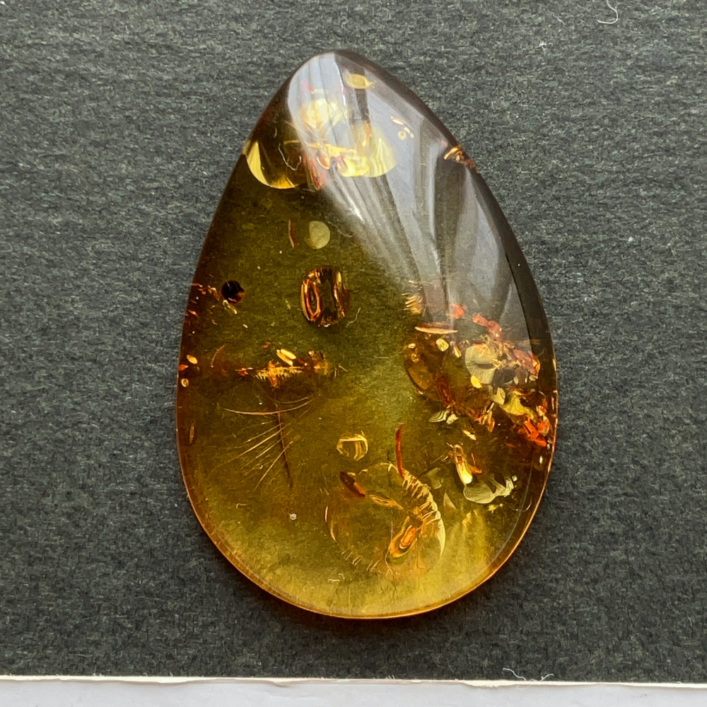 バルティックアンバー[213] 29x19mm 8Cts