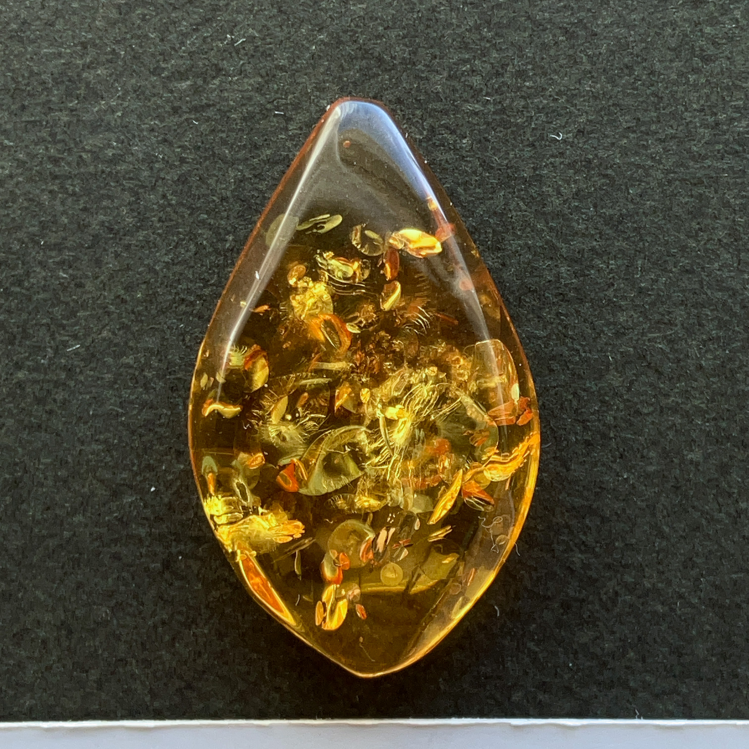 バルティックアンバー[240] 28x17mm 8Cts