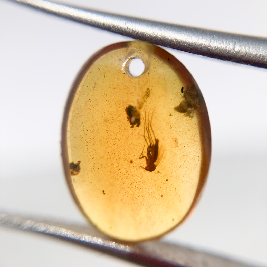 穴あき虫入りアンバー[261] 13x10mm 2Cts