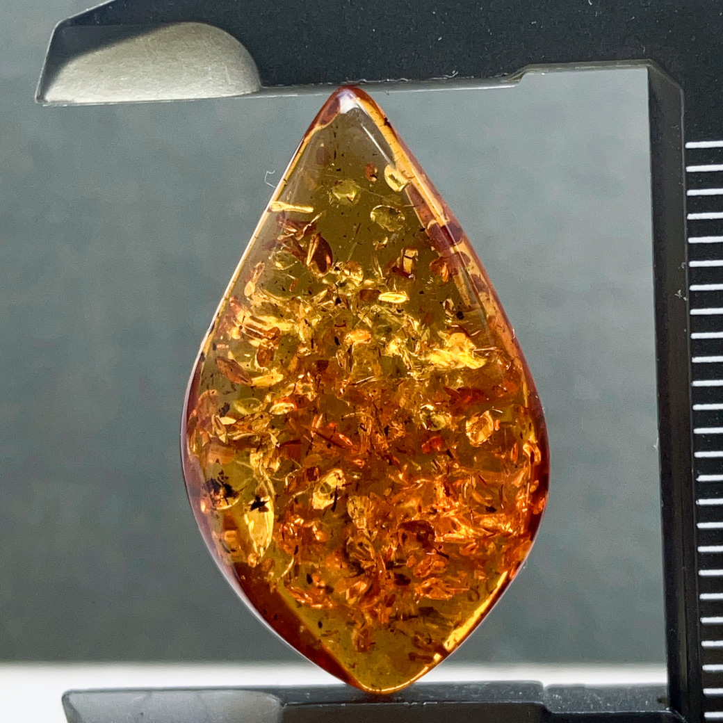バルティックアンバー[271] 26x16mm 8Cts