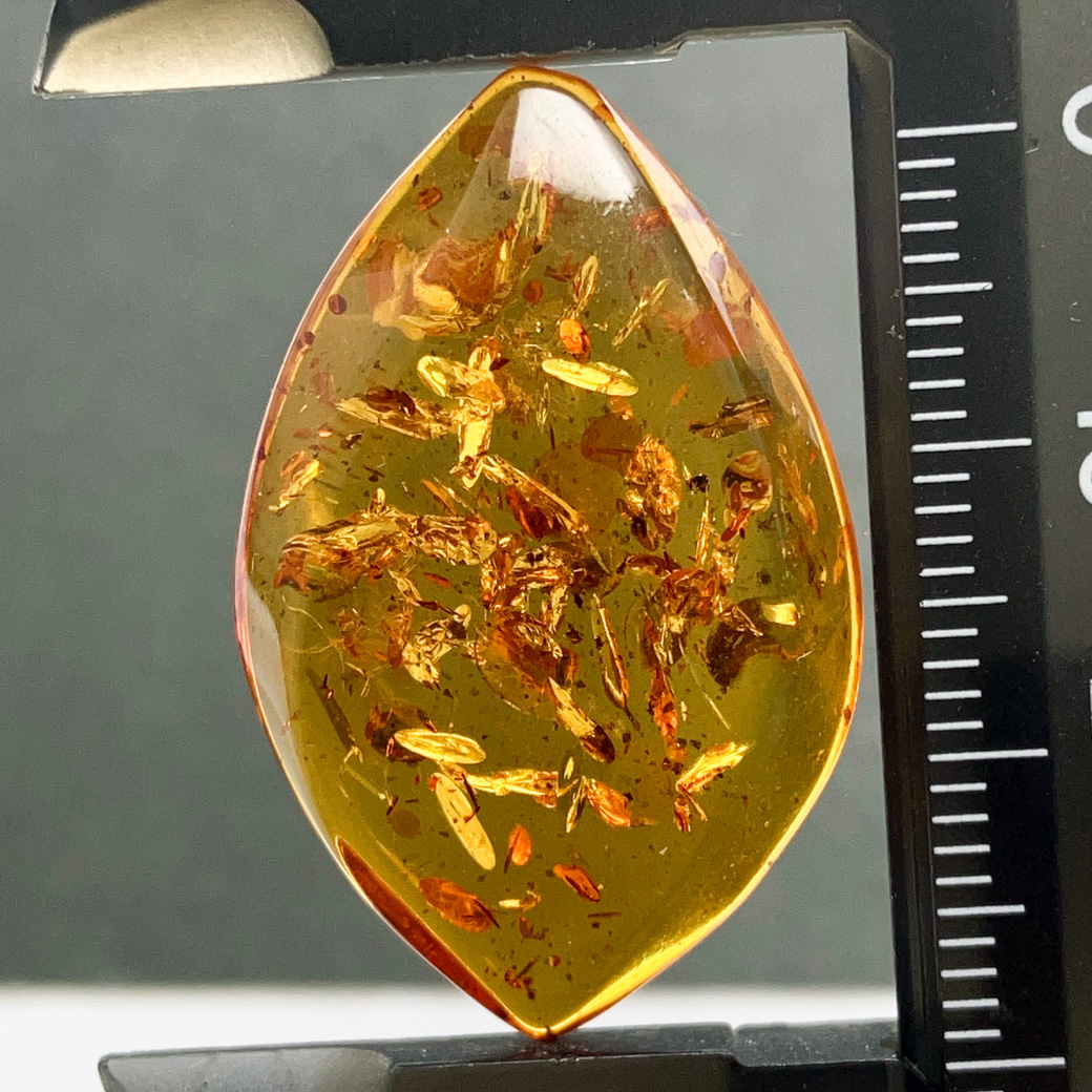 バルティックアンバー[272] 32x21mm 14Cts