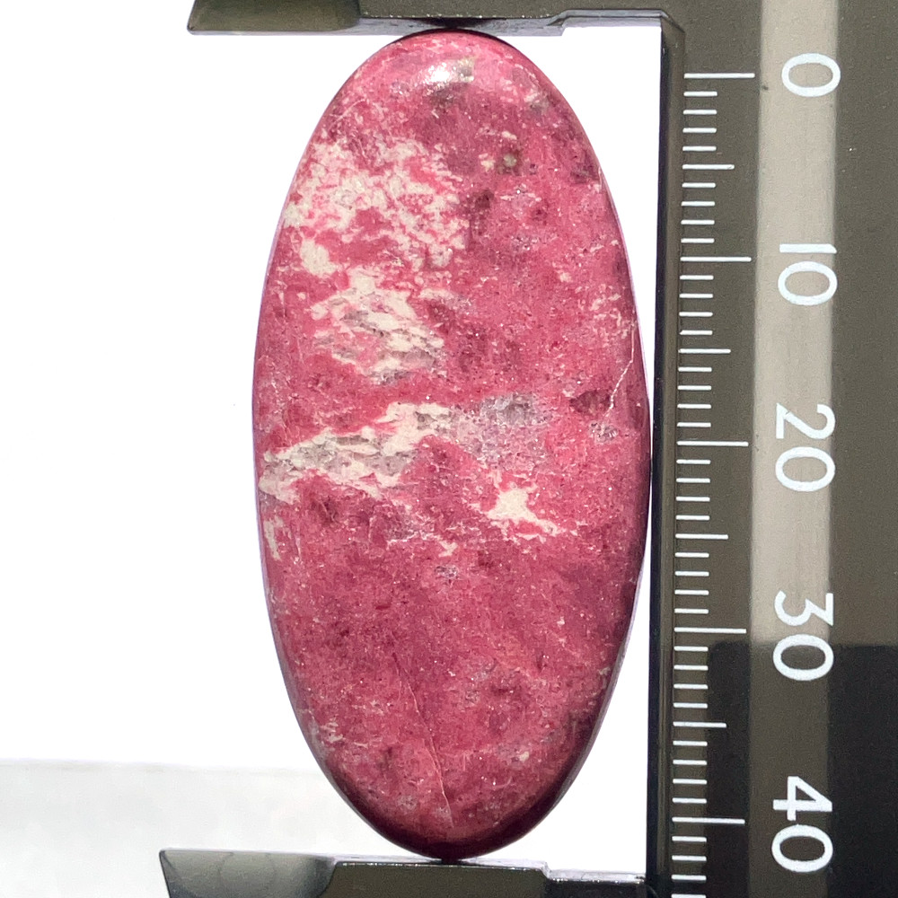 チューライト[45] 46x22mm 56Cts